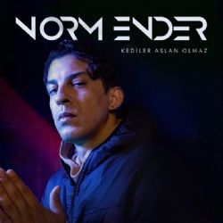 Norm Ender Kediler Aslan Olmaz