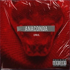 Owl Anaconda