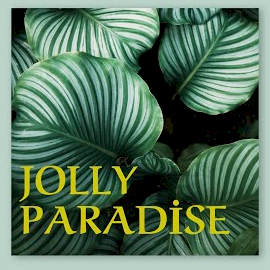 Ozan Aslan Jolly Paradise