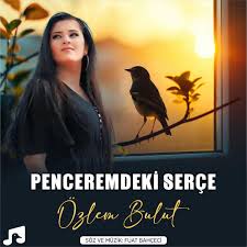 Özlem Bulut Penceremdeki Serçe