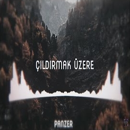 Panzer Çıldırmak Üzere