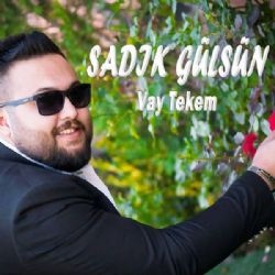 Sadık Gülsün Vay Tekem