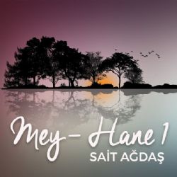 Sait Ağdaş Mey Hane Vol 1