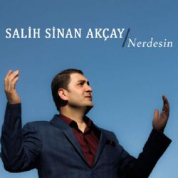 Salih Sinan Akçay Nerdesin