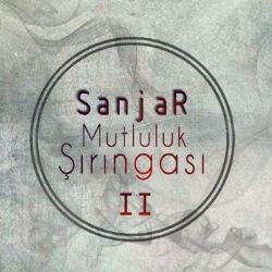 Sanjar Mutluluk Şırıngası