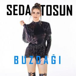 Seda Tosun Buzdağı