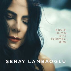 Şenay Lambaoğlu Böyle Olmasını İstemezdim