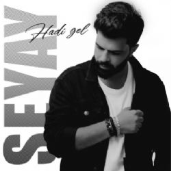 Seyay Hadi Gel