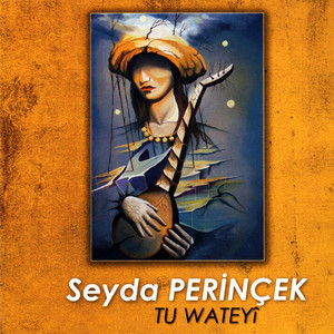 Seyda Perinçek Tu Wateyi