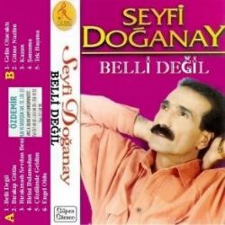 Seyfi Doğanay Belli Değil