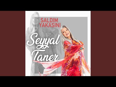 Seyyal Taner Saldım Yakasını