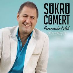 Şükrü Cömert Yaranamadım Felek