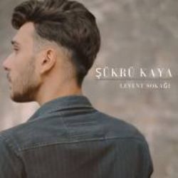 Şükrü Kaya Levent Sokağı