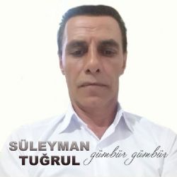 Süleyman Tuğrul Gümbür Gümbür