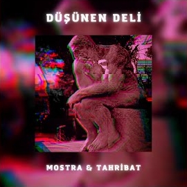 Tahribat Düşünen Deli