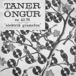 Taner Öngür Elektrik Gramofon