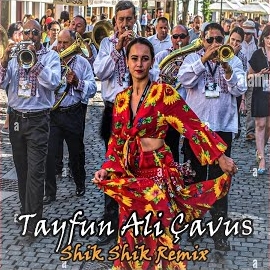 Tayfun Ali Çavuş Shik Shik Remix