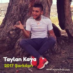 Taylan Kaya 2017 Şarkıları