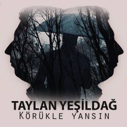 Taylan Yeşildağ Körükle Yansın