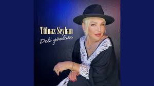 Tülnaz Seyhan Aptalsın