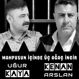 Uğur Kaya Mahpusun İçinde Üç Ağaç İncir