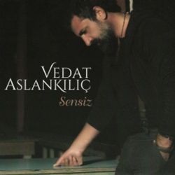 Vedat Aslankılıç Sensiz