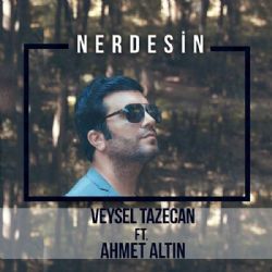 Veysel Tazecan Nerdesin