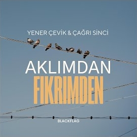 Yener Çevik Aklımdan Fikrimden