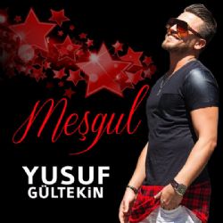 Yusuf Gültekin Meşgul