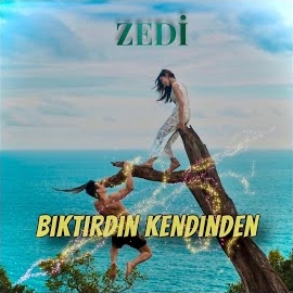 Zedi Biktirdin Kedinden